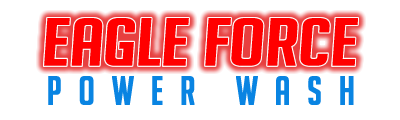 Eagle Force LLC